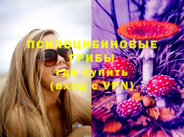 эйфоретик Арсеньев