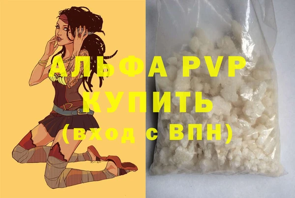 эйфоретик Арсеньев