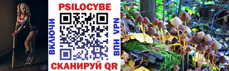 hydra ONION  Бакал  Галлюциногенные грибы MAGIC MUSHROOMS  наркотики 