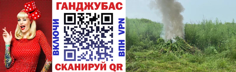 наркотики  MEGA маркетплейс  Каннабис VHQ  Бакал 